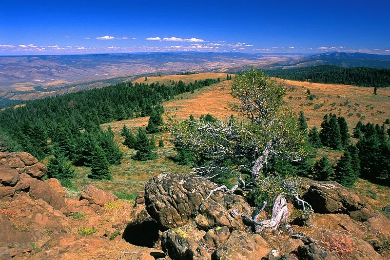 Hiking in the Ochoco National Forest